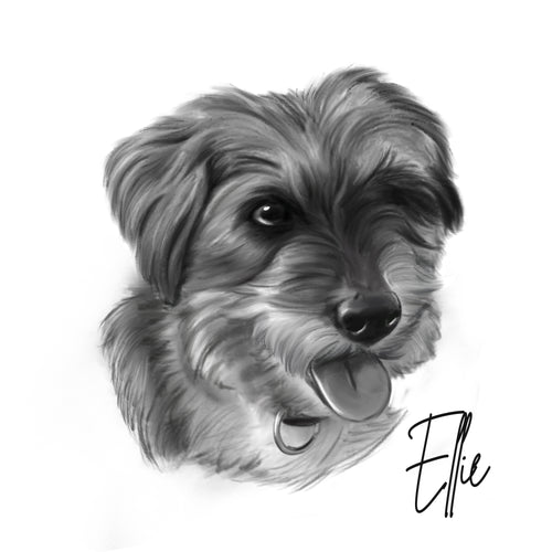 Sketch Style Pet Portrait on Canvas | Black & White Pencil Style Drawing | Personalised Dog Sketch