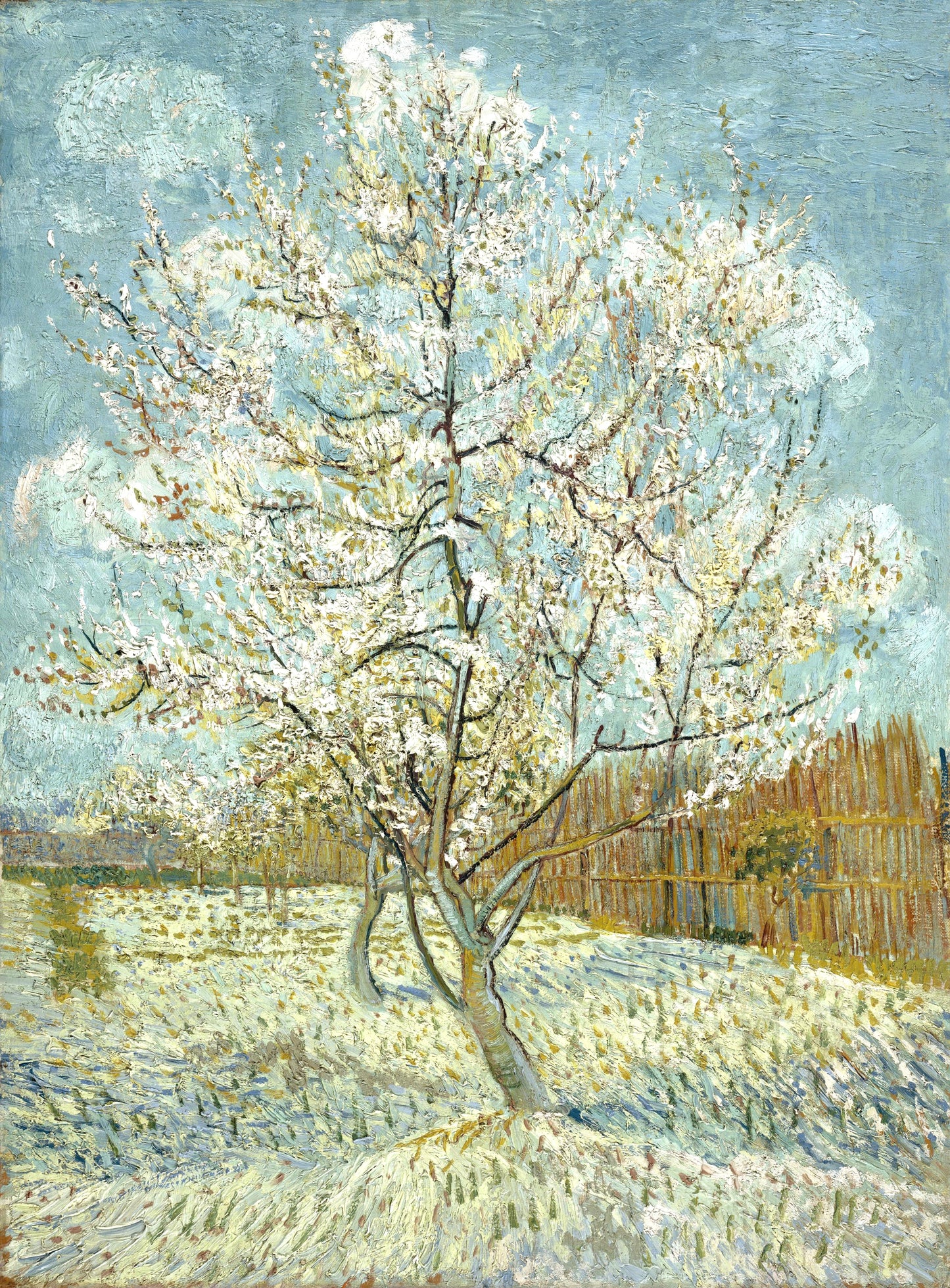 Vincent van Gogh’s "Blossoming Tree" – Premium Canvas Art Print