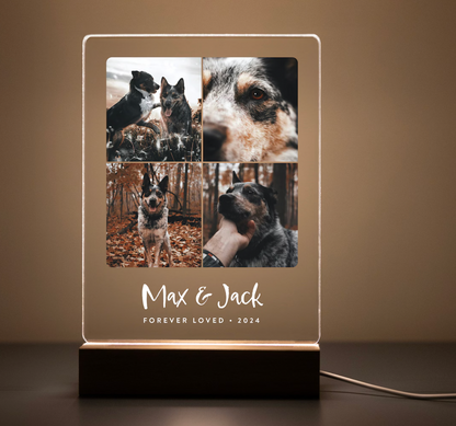 Light Up Pet Memorial Gift • LED Pet Frame • Pet Memorial Keepsake • Pet Bereavement Gift • Pet Loss Sympathy Gift