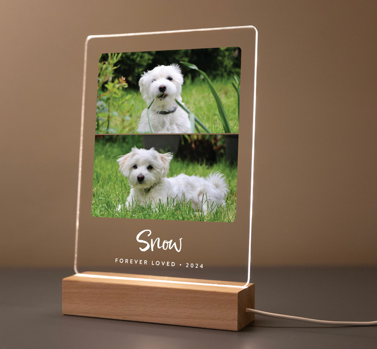 Light Up Pet Memorial Gift • LED Pet Frame • Pet Memorial Keepsake • Pet Bereavement Gift • Pet Loss Sympathy Gift