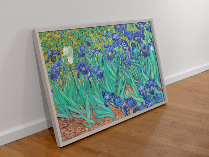 Vincent van Gogh’s “Irises” – Canvas Art Print