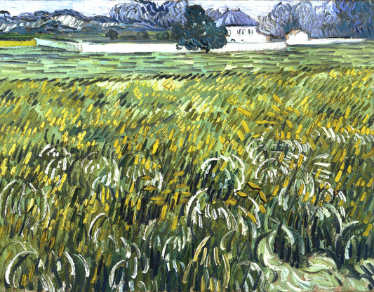 Vincent van Gogh’s “Field with Irises near Arles” – Canvas Art Print