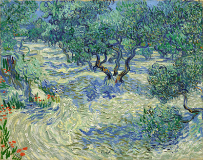 Vincent van Gogh’s “Olive Trees” – Canvas Art Print