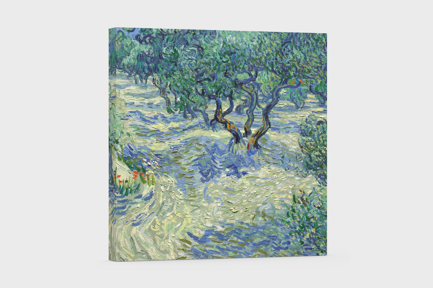 Vincent van Gogh’s “Olive Trees” – Canvas Art Print