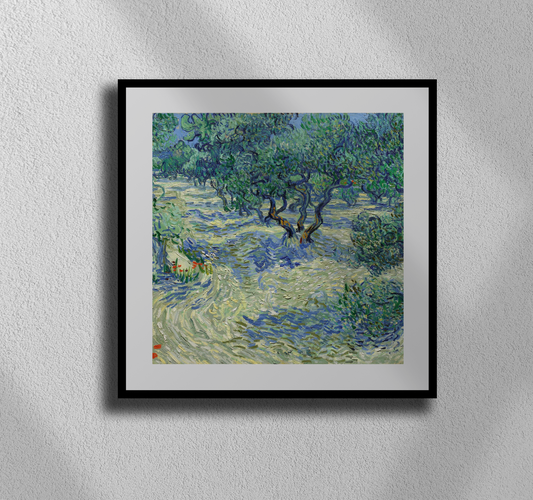 Vincent van Gogh’s “Olive Trees” – Canvas Art Print