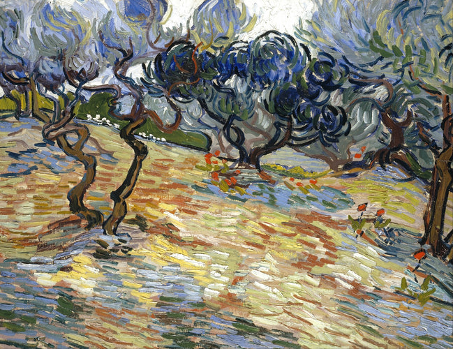 Vincent van Gogh’s “Olive Trees with Yellow Sky and Sun” – Canvas Art Print