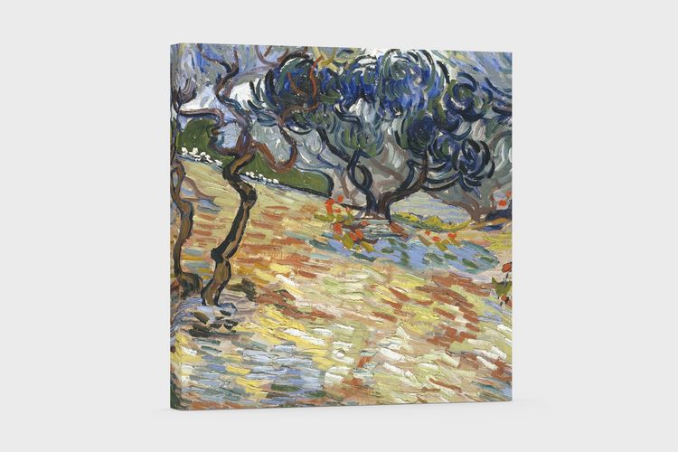 Vincent van Gogh’s “Olive Trees with Yellow Sky and Sun” – Canvas Art Print