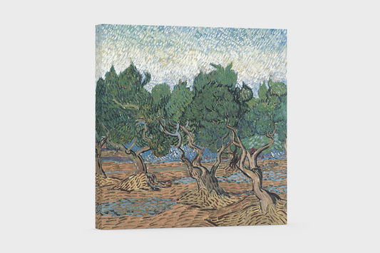 Vincent van Gogh’s “Olive Trees” – Premium Canvas Art Print