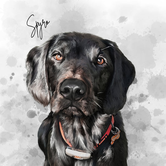 Personalised Watercolour Pet Portrait | Custom Pet Art Print | Pet Memorial Gift